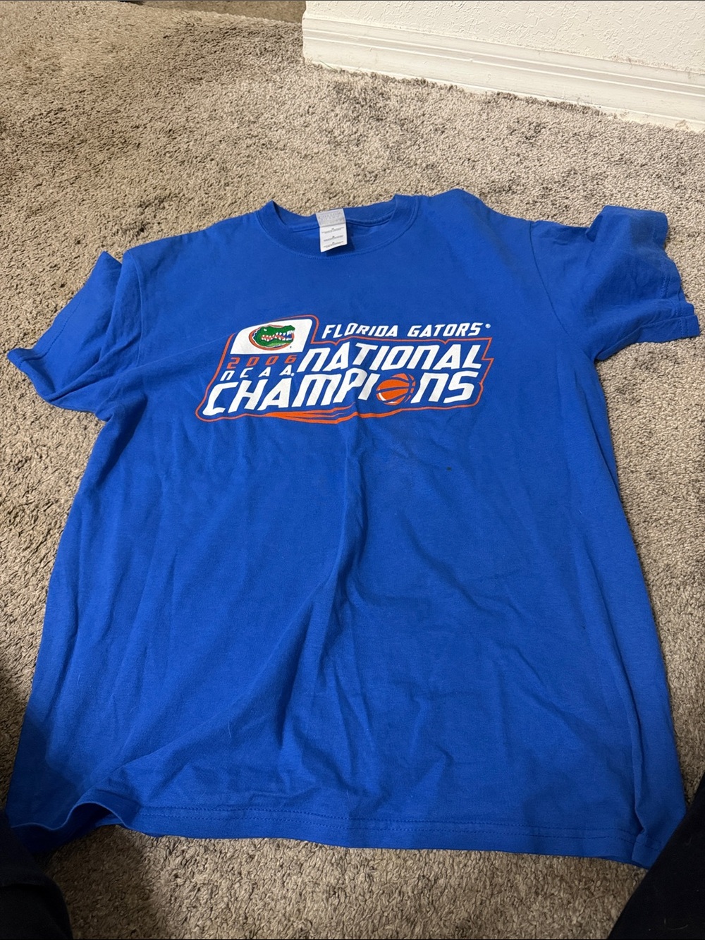 Florida Gators 2006 National Champions Blue Tee
